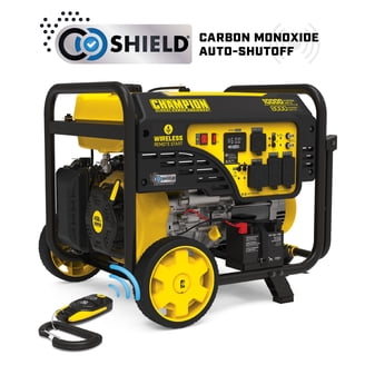 Champion Power Equipment 100231 6900/5500-Watt Dual Fuel Gas