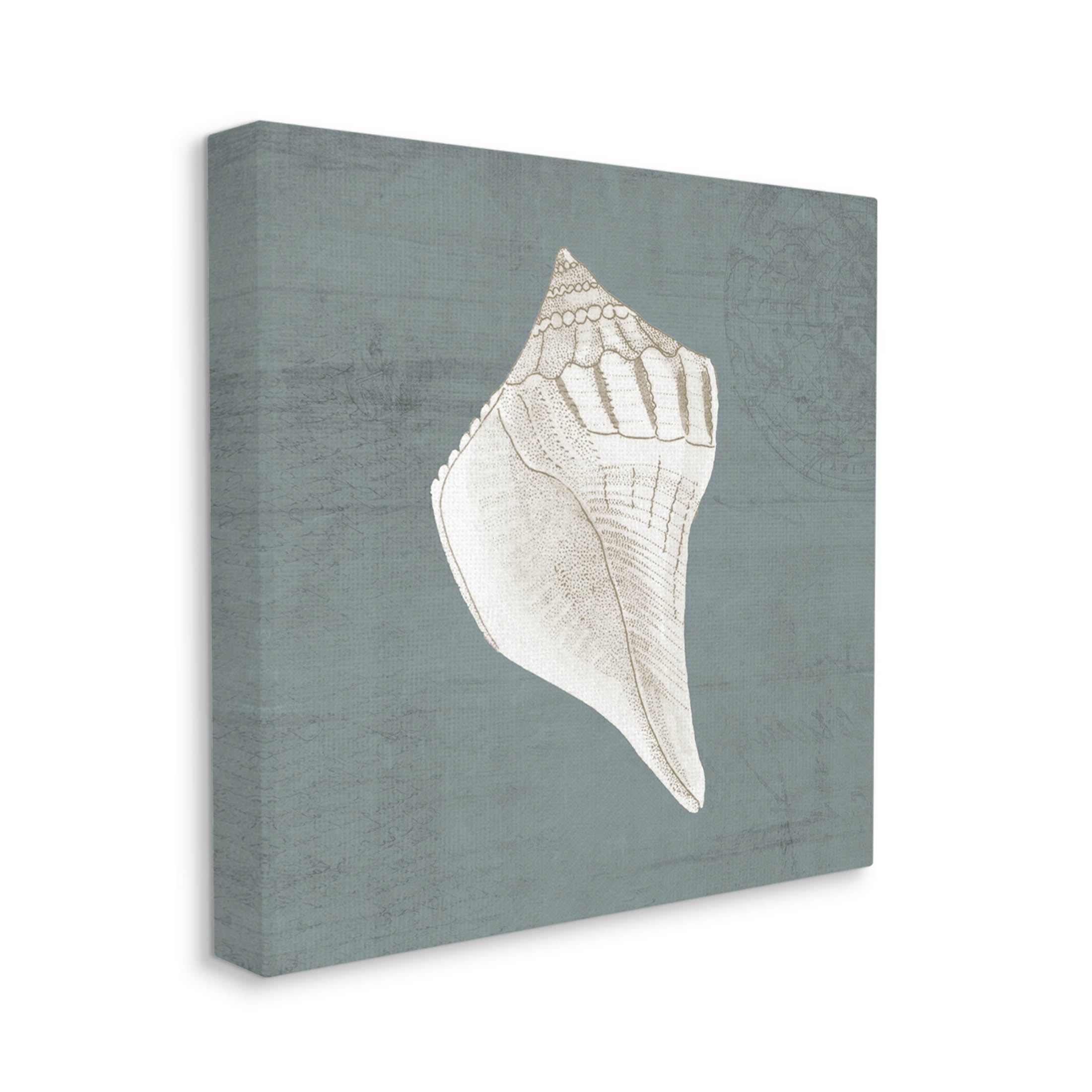 Conch Seashell Stipple Pattern Animals & Insects Graphic Art Gallery Wrapped Canvas Print Wall Art