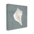 thumbnail image 3 of Conch Seashell Stipple Pattern Animals & Insects Graphic Art Gallery Wrapped Canvas Print Wall Art, 3 of 7