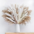 thumbnail image 4 of VogueV Small Dried Pampas Grass Bouquet, Natural Reed for Boho Vase Filler, Wedding Centerpiece & Home Office Shelf, Fluffy Zero-Maintenance, 1Xbouquet, 4 of 8