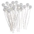 thumbnail image 1 of 20 piezas de perlas de imitación en forma de U para el cabello, boda, novia, damas de honor, joyería Perla blanca Hugo Pin De Pelo, 1 of 10