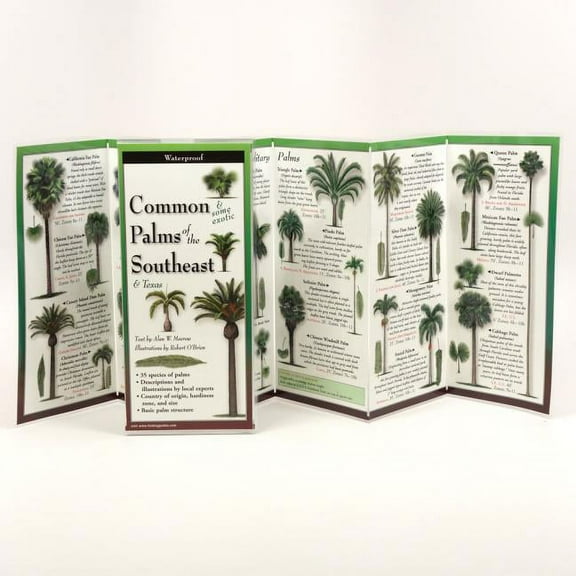 FoldingGuides: Common Palms of the Southeast & Texas (Other)