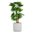 thumbnail image 1 of Vintage Home Artificial Faux Real Touch 54" Tall Fan Palm Tree With Burlap Kit And Fiberstone Planter, 1 of 3