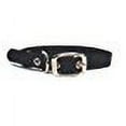 thumbnail image 2 of Hamilton 5/8" Single Thick Nylon Deluxe Dog Collar, 16 inch, Black, 2 of 3