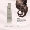 thumbnail image 4 of Acondicionador Onesta Hair Care hidratante a base de plantas 480 ml, 4 of 4