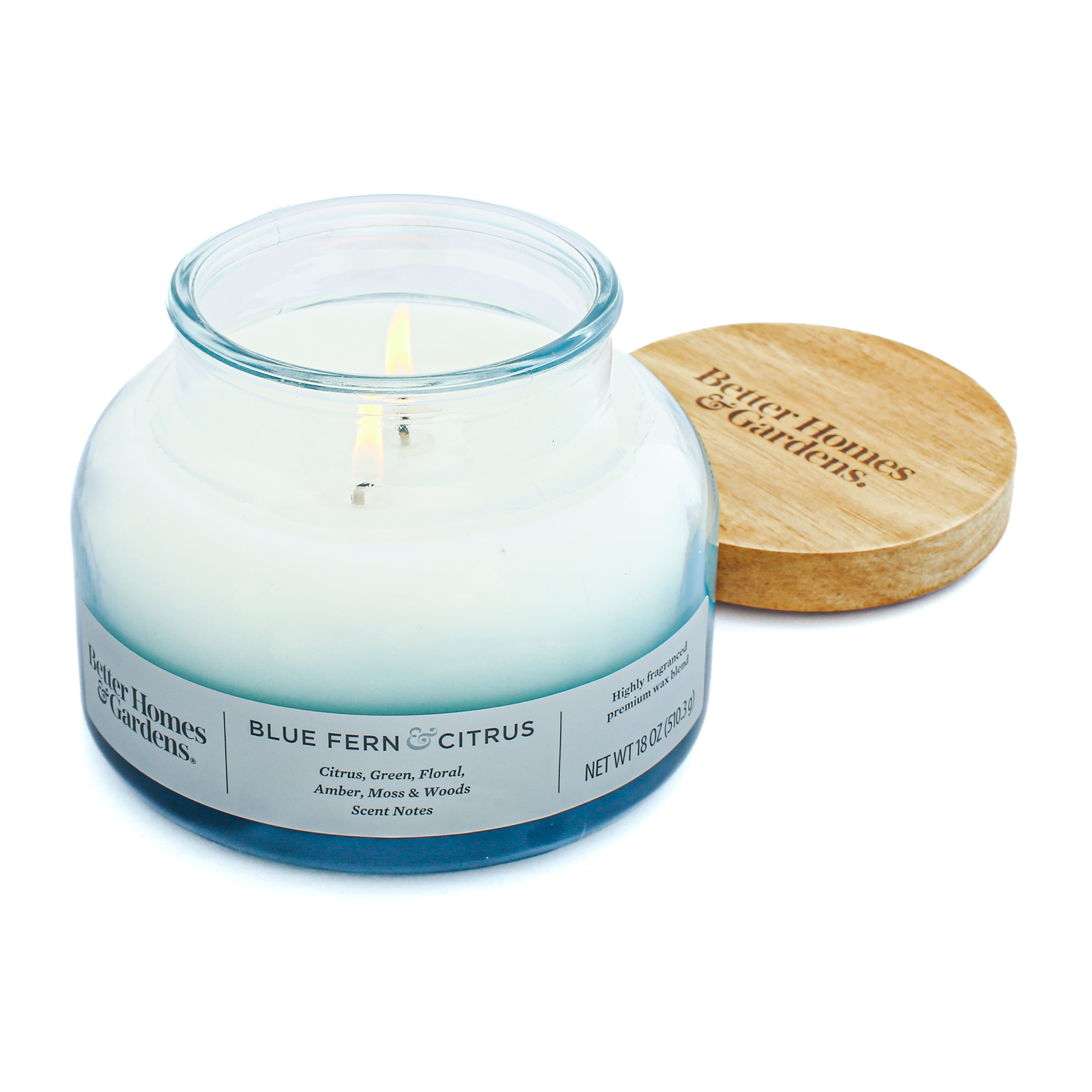 (4 pack) Better Homes & Gardens Blue Fern & Citrus Scented 2-Wick 18oz Ombre Bell Jar Candle
