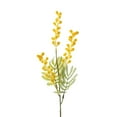 thumbnail image 2 of Luxcidy Artificial Yellow Flowers Acacia, 19.6" Long Stem Mimosa Flowers, Spring Flower Fake Easter Flowers for Home Decor, 2 of 9