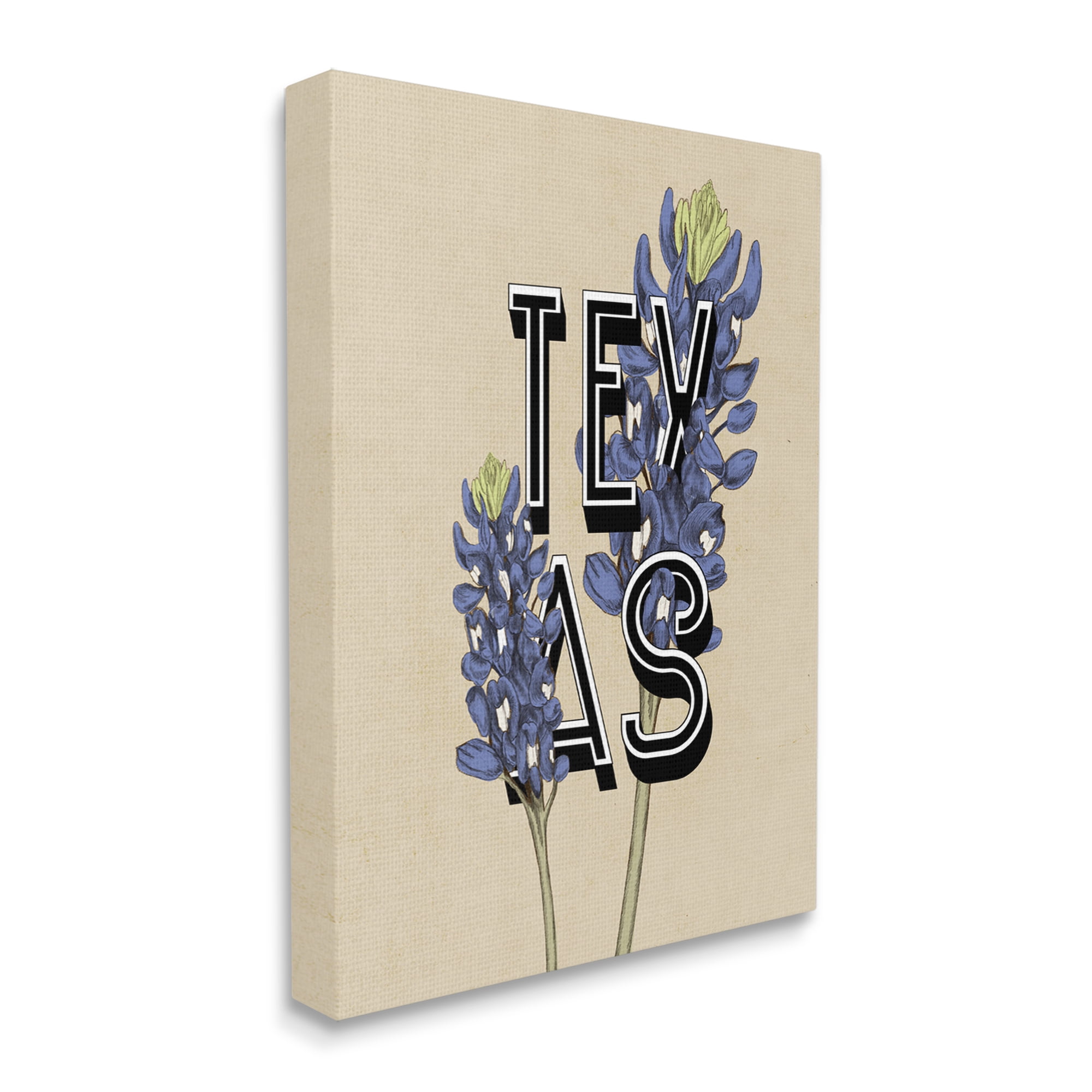 Stupell Industries Texas State Flower Bluebonnet Plant Sprigs Typography Graphic Art Gallery Wrapped Canvas Print Wall Art, Design by Daphne Polselli