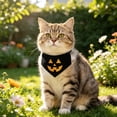thumbnail image 5 of Halloween Pet Collar Costume Accessory, Skull Ghost Pumpkin Spider Bat Design Neck Bib Bandana for Small Medium Dogs Cats, Cute Holiday Dress Up Decor for Trick Or Treat Party Pet Photo Prop, 5 of 6