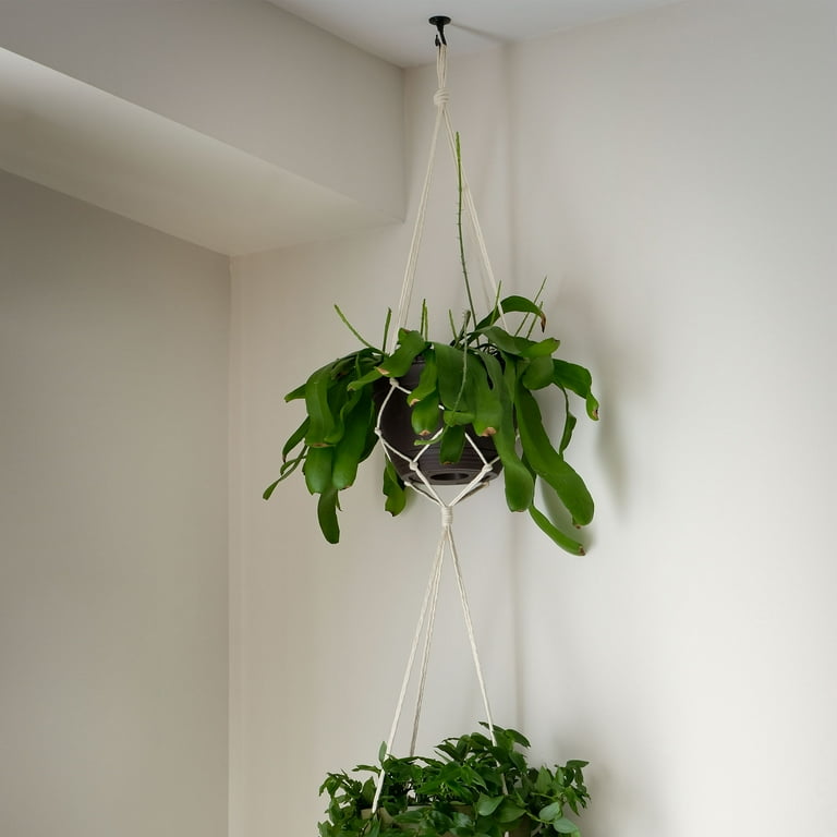 Swivel Hook Hanging Plants