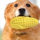 thumbnail image 1 of Juguete para masticar perro y gato | Juguete interactivo duradero para el cuidado bucal de mascotas | Texturizado para la salud de los dientes y las encías - Diseño compacto robusto | Uso interior y, 1 of 6