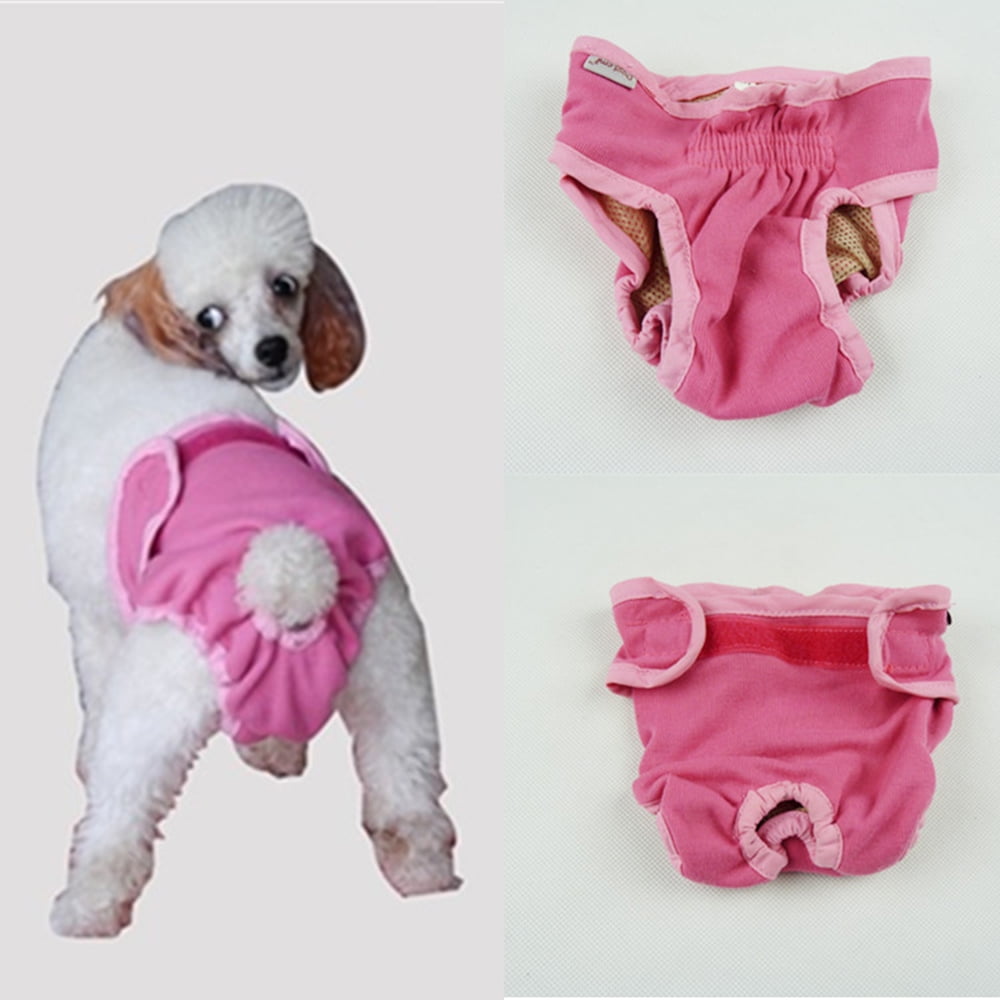 Female Dog Menstruation Underwear Toilet Training Dog Diapers Short