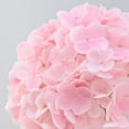 thumbnail image 3 of Hydrangea Artificial Flowers, Latex Real Touch Hydrangeas Lifelike Large Hydrangea Flowers for Home Decor Party Arrangements Wedding Bouquets Centerpieces (Light Pink), 3 of 5