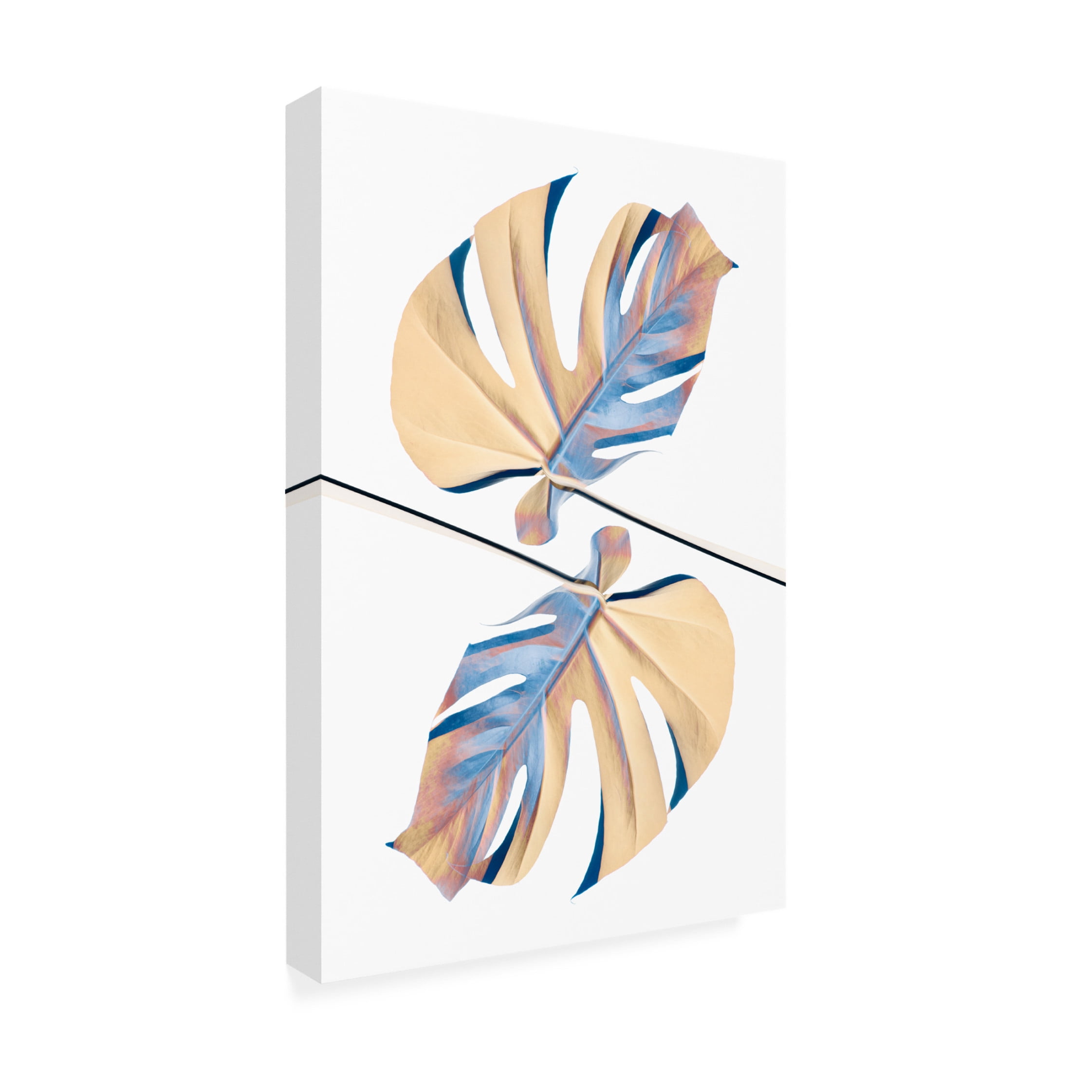Trademark Fine Art Pictufy Studio Ying Yang 07 Canvas Wall Art