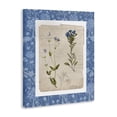 thumbnail image 2 of Stupell Industries Cottage Blue Vintage Botanicals Canvas Art, 36 x 48, by Livi Finn, 2 of 8