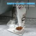 thumbnail image 4 of Labymos Tazón de comida para gatos inclinado, 4 of 8