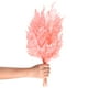 thumbnail image 1 of Paquete de 10 helechos, 15" vegetación natural seca con tallos para manualidades de resina en casa, decoraciones de boda, plantas secas [Rosa], 1 of 1