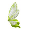thumbnail image 2 of veasfak 40 Pieces Flower Wrapping Papers Packaging Papers Butterfly Styling DIY Crafting Green, 2 of 9