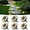 Warm light, variant on HOVMAP Low Profile Solar Ground Lights Flush with Ground Mower Safe 8 LEDs Auto On Off IP65 Waterproof 24 Pack for Lawn Pathway, 24Pc Warm light 2”