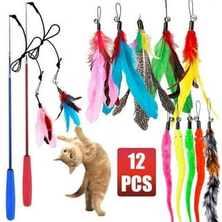  DONGKER 6 PCS Cat Feather Replacement Toy,Buckle