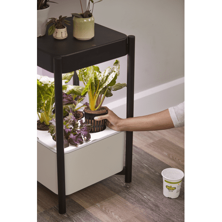 Miracle-Gro Twelve Plant Nutrition and Transplanting Kit - Black