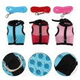 thumbnail image 3 of Harnais et Laisse pour Lapin, 3 of 3