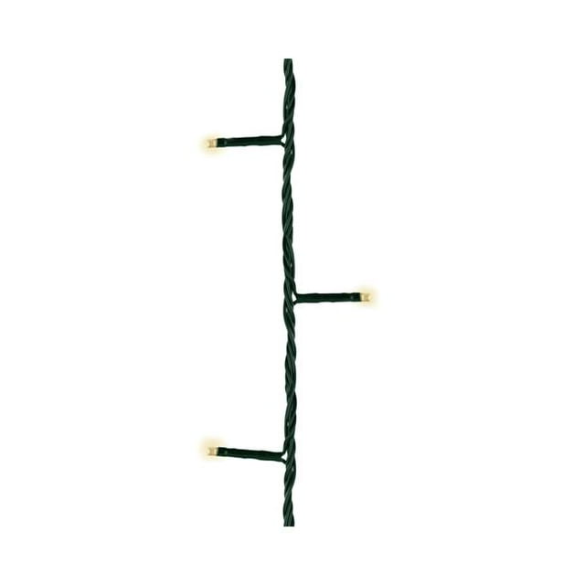 Celebrations 9071248 16.4 ft. LED Rice Warm White 50 Count String Christmas Lights - Pack of 12