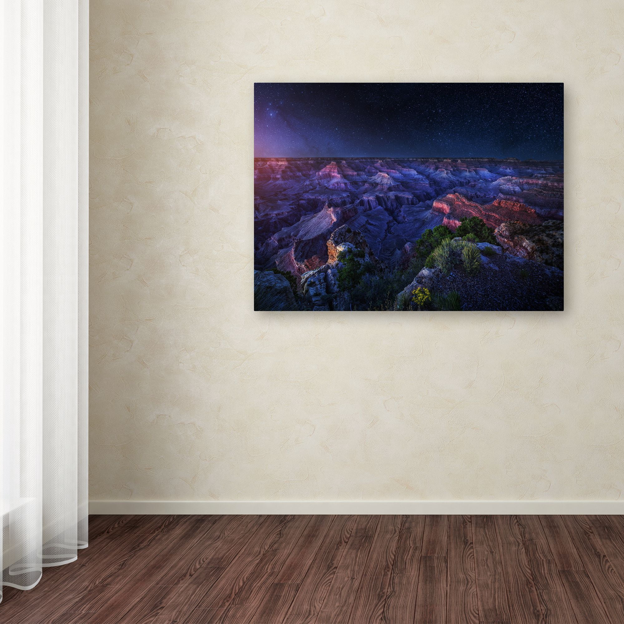 Trademark Fine Art 'Grand Canyon Night' Canvas Art by Juan Pablo De