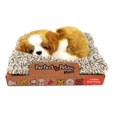 Mini Cavalier King Charlers, Realistic, Lifelike Stuffed Interactive Plush Toy, Electronic Pets, Companion Pet Puppy with 100% Synthetic Fur &ndash; Perfect Petzzz