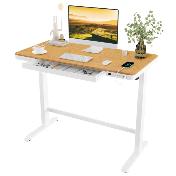 FlexiSpot 48"x24" White Home Office Height Adjustable Standing Desk
