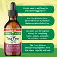 Spring Valley 100 Pure Tea Tree Oil for Skin Health, Liquid Supplement