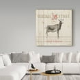 thumbnail image 3 of Trademark Fine Art 'Farm Patchwork VII' Canvas Art by Danhui Nai, 3 of 3