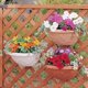 thumbnail image 3 of YSNOOWE Maceta Colgante De Resina Color Chocolate Con Drenaje Para Uso En Y, 3 of 7