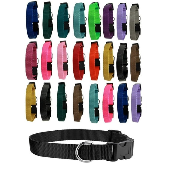 Dog Collar Shelter Rescue Vet Bulk Pack 25 Assorted Color Adjustable Choose Size (Small - 10 to 16 Inch)