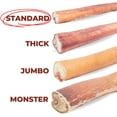 thumbnail image 3 of Bully Bunches Premium 6 inch Standard Bully Stick - 10 pack, 3 of 5