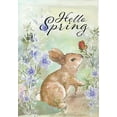 thumbnail image 2 of Diannart 18x24 Black Ornate Wood Framed with Double Matting Museum Art Print Titled - Hello Spring Sweet Bunny, 2 of 4