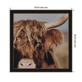 thumbnail image 5 of Kate and Laurel Framed Wall Art Print Nosy Highland by Laura Evans, 36 x 36, Manhattan Black Frame, Rustic Farmhouse, Animal Art for Wall Decor, 5 of 8