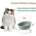 thumbnail image 5 of Cuenco de cerámica para gatos, cuenco para gatos, cuenco para gatos con pendiente elevada, cuenco para gatos, cuenco de agua para gatos, suministros para mascotas TUNC Sencillez, 5 of 5