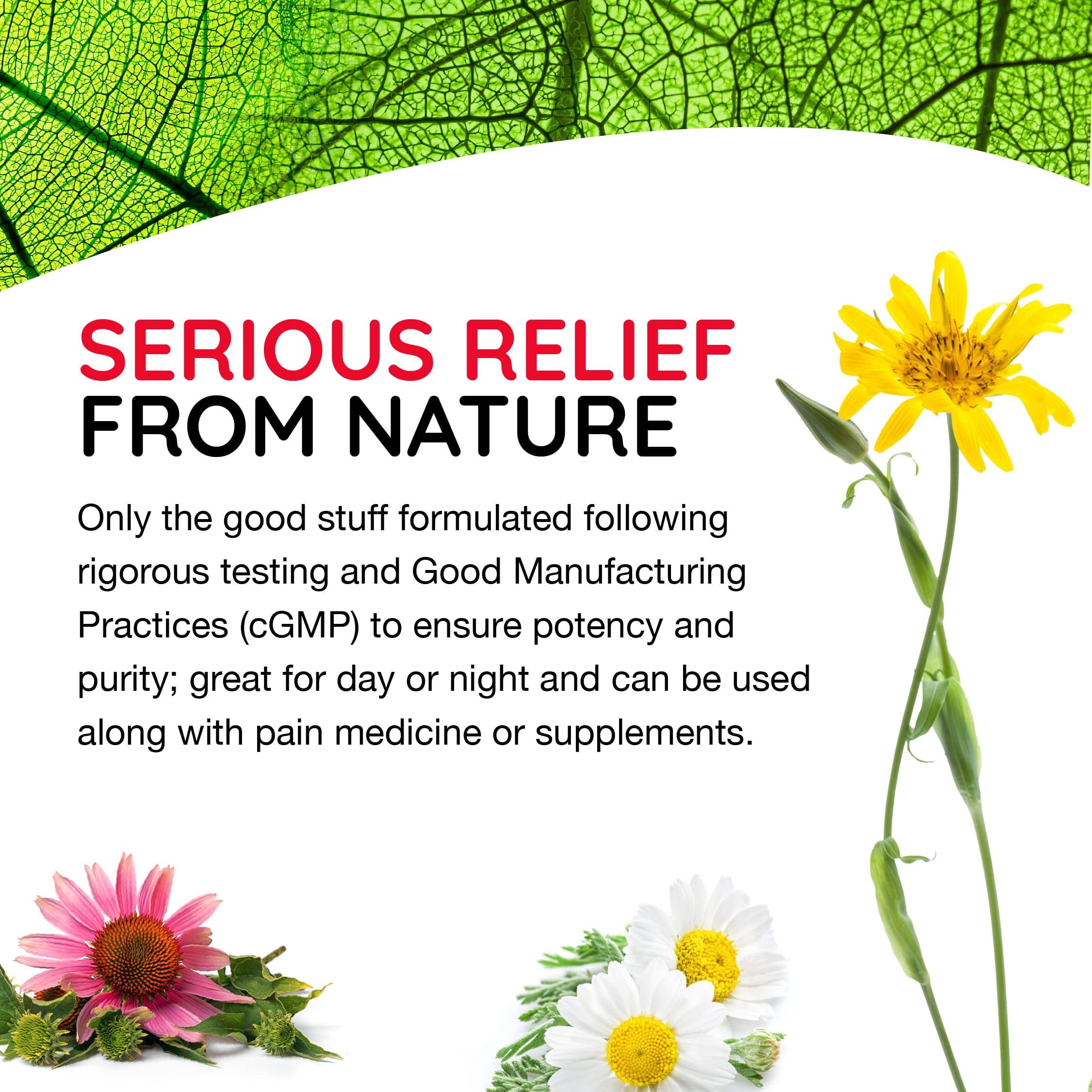 T-Relief Extra Strength Cream Arnica +12 Natural Relieving Actives for Back Pain Joint Soreness Muscle Aches & Stiffness, Whole Body Fast Acting Relief for Women & Men - 3 oz
