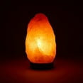 thumbnail image 6 of The Body Source Himalayan Salt Lamp | 6-8 in (4-7 lb) | Natural Salt Rock Lamp with Dimmer Switch & Wooden Base  | Night Light with Replacement Bulb | E12 Bulb, 6 of 8