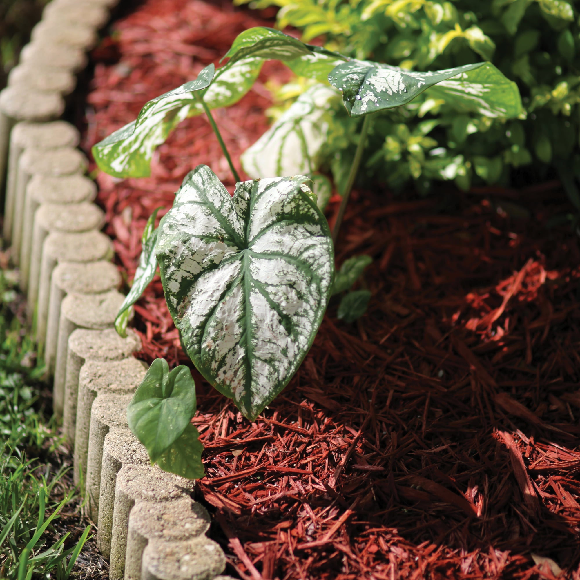Hyponex by Scotts Red Mulch, for Landscapes and Gardens, 1.5 cu. ft