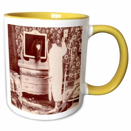 3drose, I Must Have Been a Jackass Last Night., 15oz Two-tone Yellow Mug