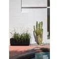 thumbnail image 6 of Veradek Demi Series Black Garden Bed 42" Self-Watering Planter (2 Pack), 6 of 10