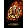 The Hunger Games Catching Fire Movie Poster (11 x 17)