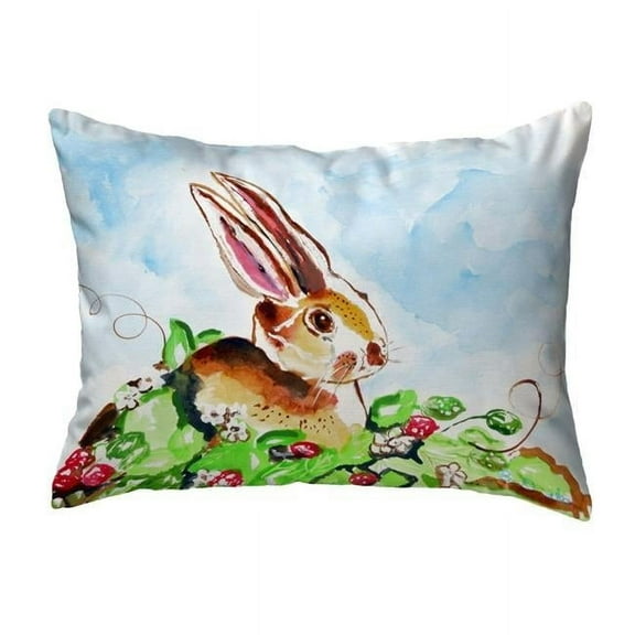 Betsy Drake KS815 11 x 14 in. Jack Rabbit Right Small No-Cord Pillow