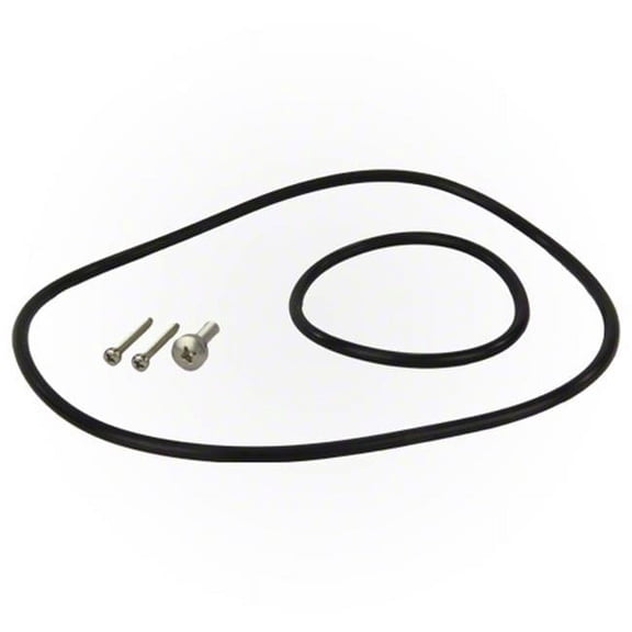 Diffuser BackPlate O-Ring