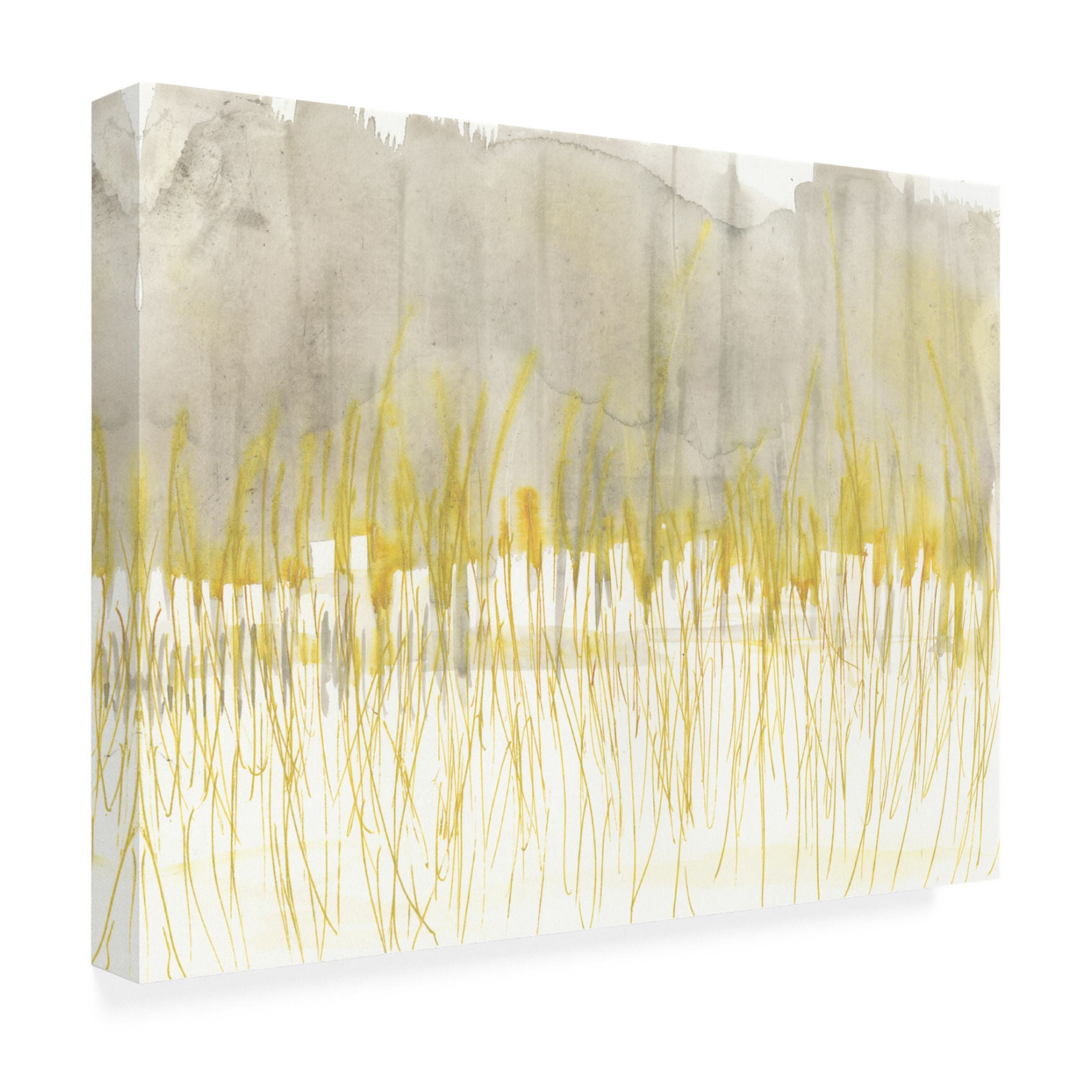 Canvas Wall Art - Jennifer Goldberger 'Winter Grasses I' Wall Art for Living Room, Bedroom, or Office Décor by Trademark Fine Art - 32 x 24 Inches