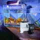 thumbnail image 1 of Alimentador automático de peces, alimentador de tanque de peces para acuario, tanque pequeño, tortuga Betta Koi, 1 of 8