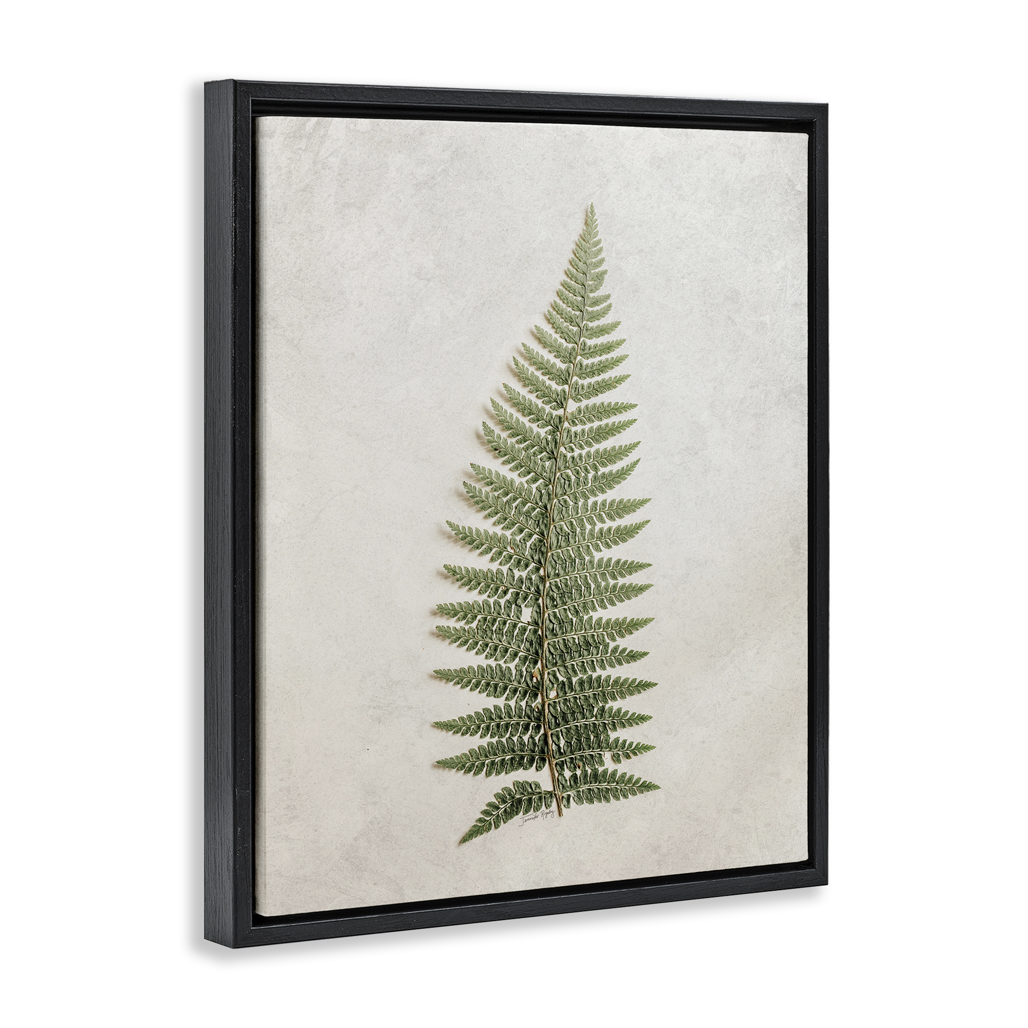 Stupell Industries Detailed Fern Frond Botanical & Floral Painting Black Floater Framed Art Print Wall Art, 25 x 31