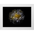 thumbnail image 1 of Carson, Brian 14x11 White Modern Wood Framed Museum Art Print Titled - Backyard Flowers 25, 1 of 4
